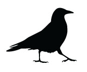 sneumiller@frontier.com